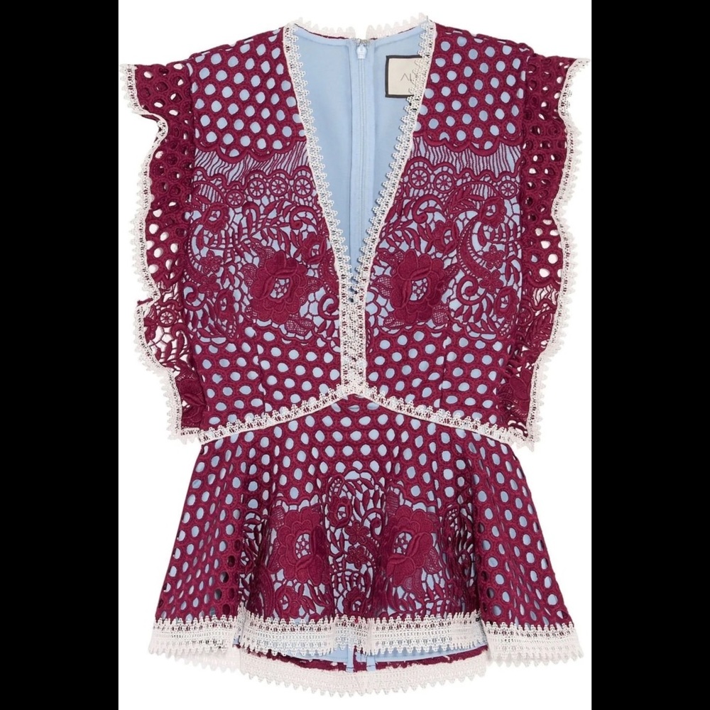 ALEXIS Kirk Lace Paneled Corded Top - Picture 3 of 9
